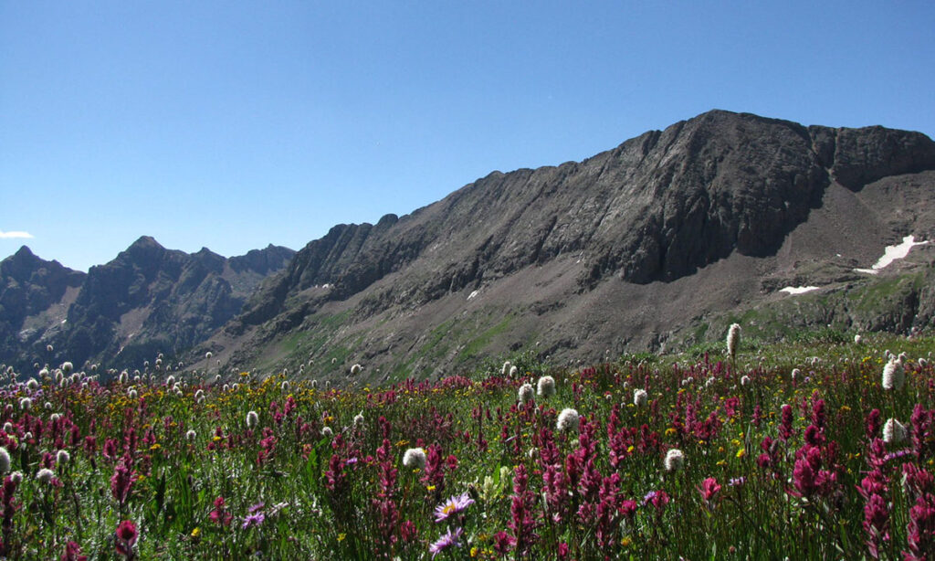 Charles Mound