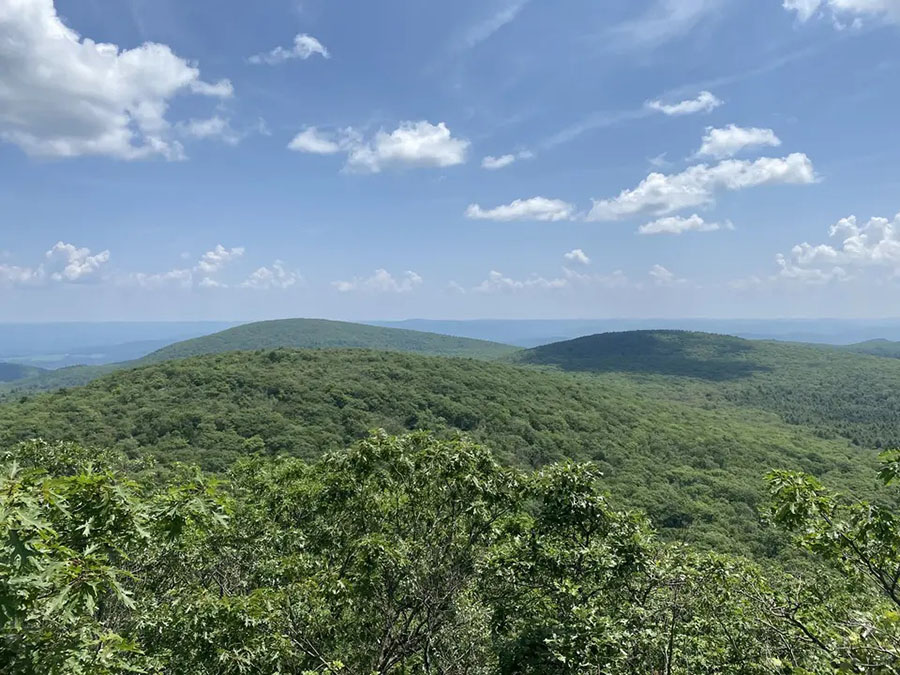 Mount Frissell