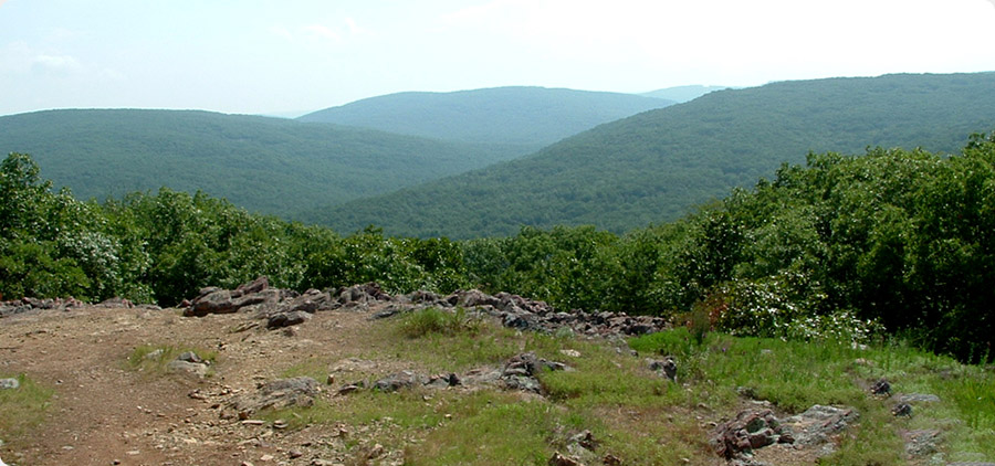 Taum Sauk Mountain